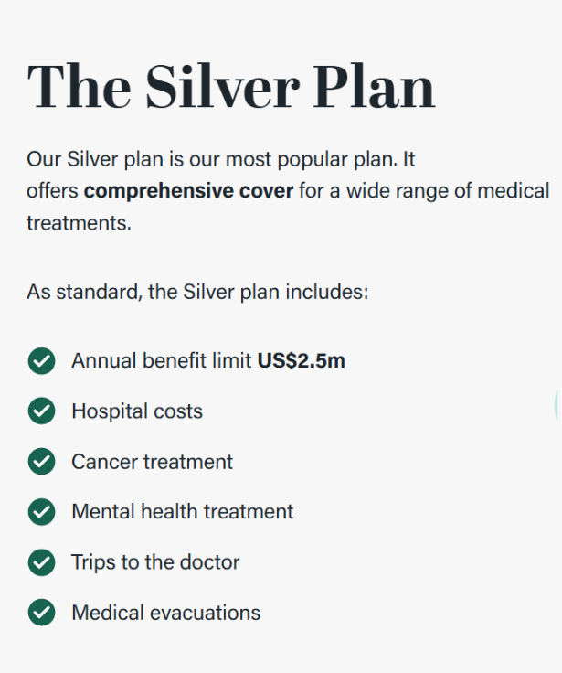 International Family _ Silver Plan